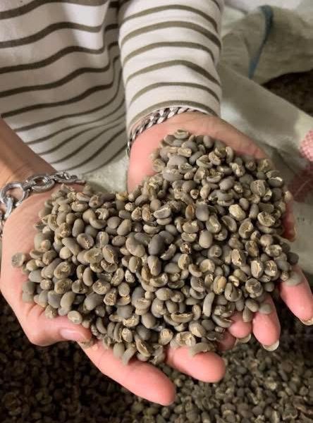 Coffee Beans
